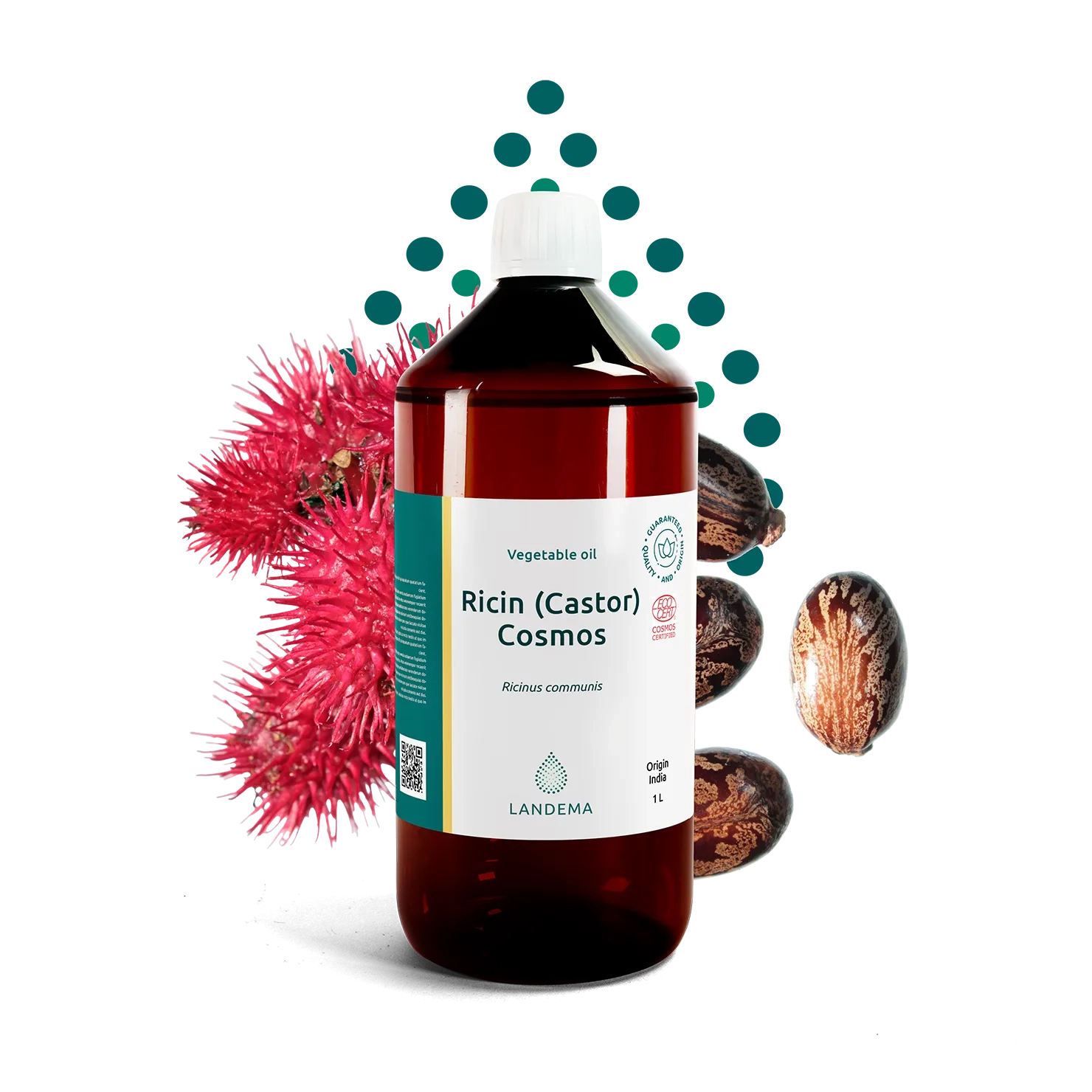Ricin (Castor) Organic COSMOS