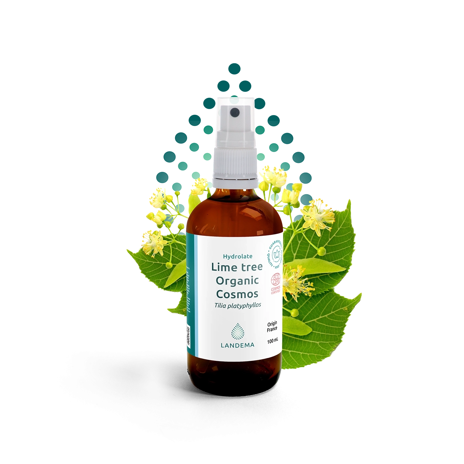 Lime tree Organic COSMOS