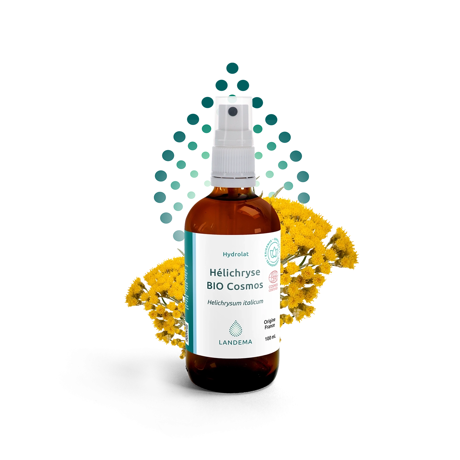 Hélichryse Bio COSMOS