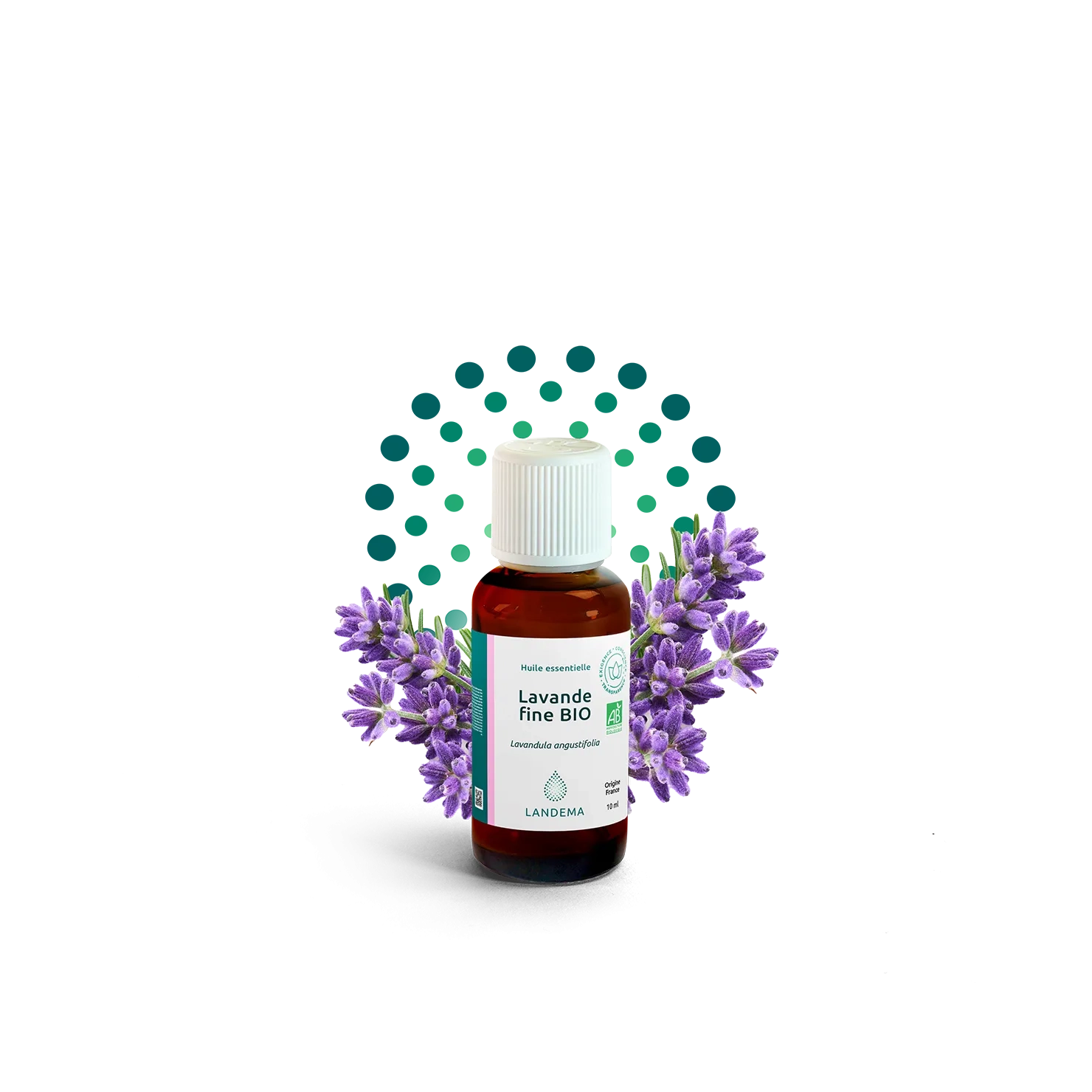 kit_HE Lavande Fine bio France 10mL Vente en lot