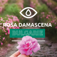 rose de bulgarie